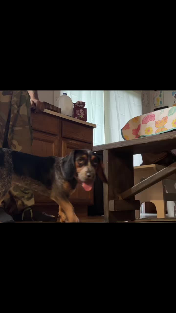 @FishTalesStories