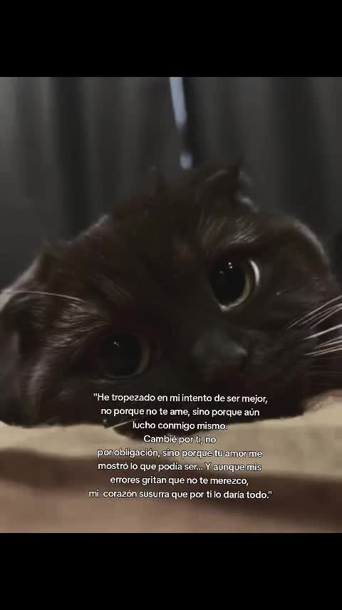 @crissparker
