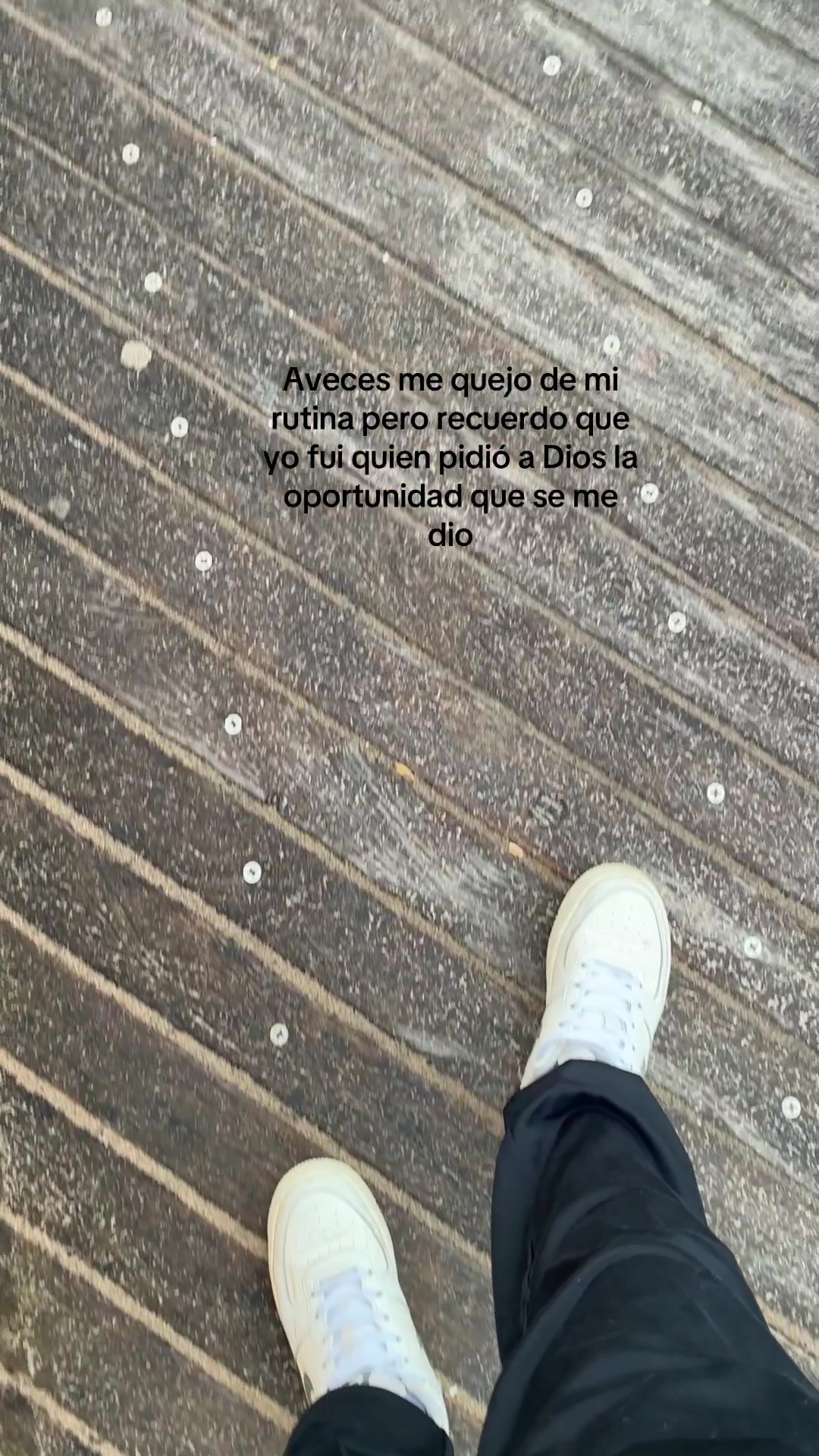 @estuardosantos🫡🇺🇸🇬🇹