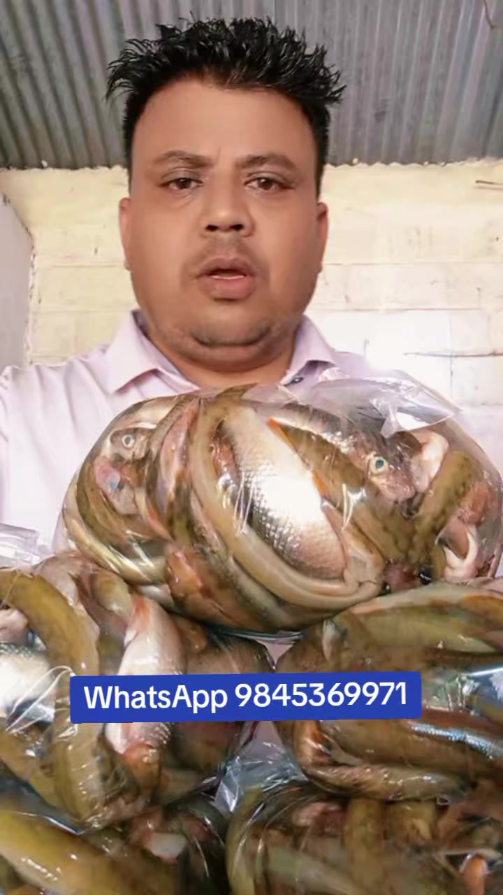 @थापा काजी (म तिम्रो काजी)