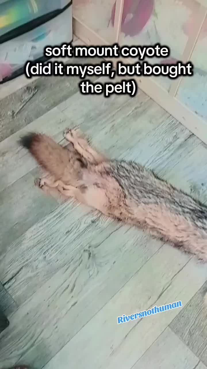 @𓃦𝕽𝖎𝖛𝖊𝖗𓃥
