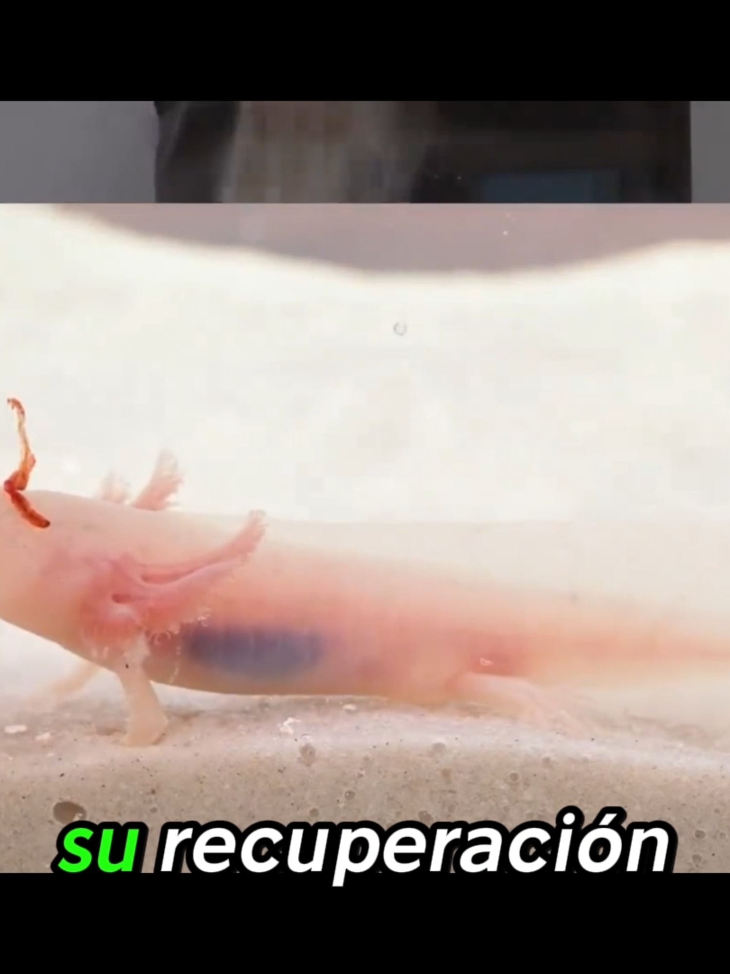@D-película