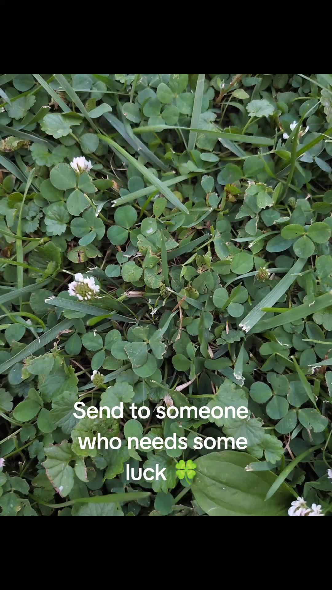 @Catherine 🍀