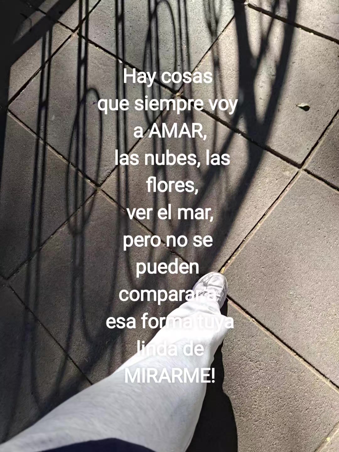 @𝙑 aleria🤎🧸