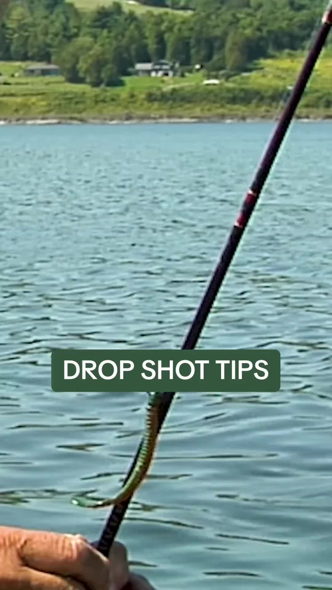 @Lunkerville