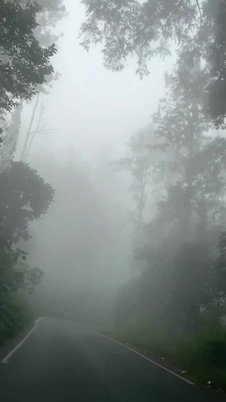 @𓆩♡𓆪