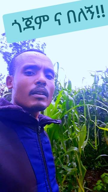 @Tesfahun Hailu/ና በይኝ ወምበርማ/