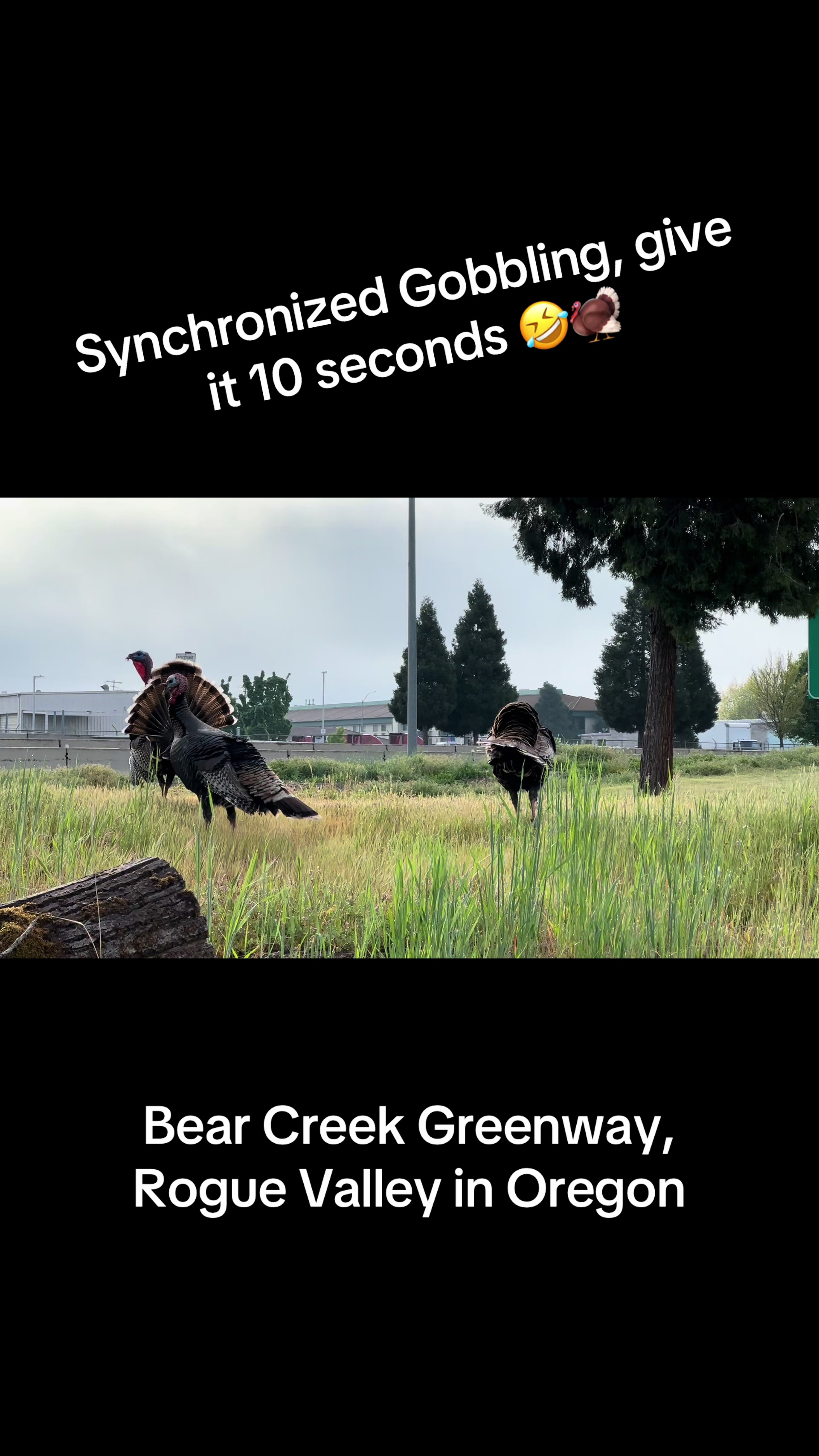 @S. R.