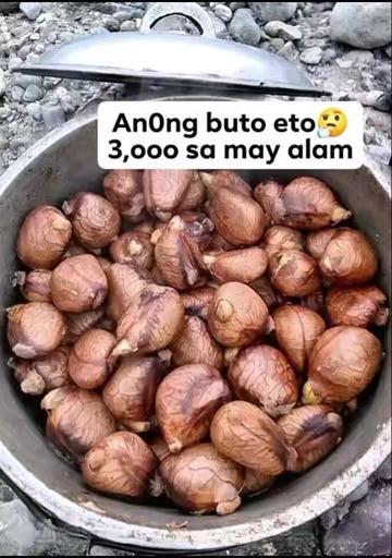 @NRPRedona