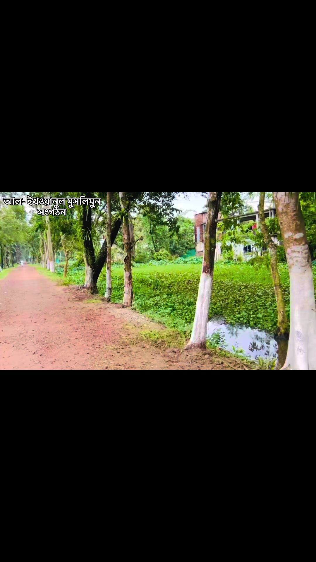@MD Limon Ahmed