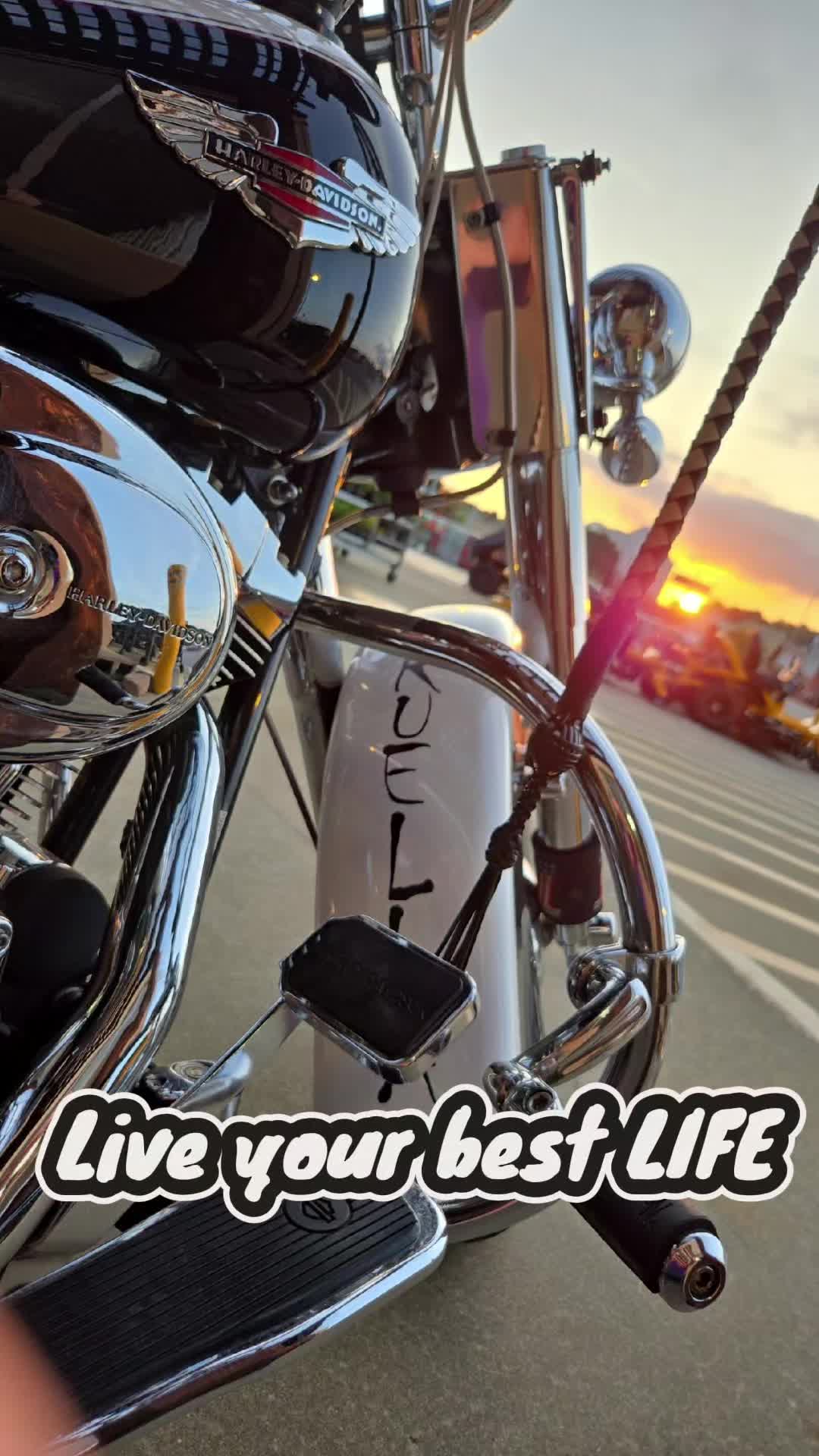 @🧡 BionicBee AKA Harley Queen