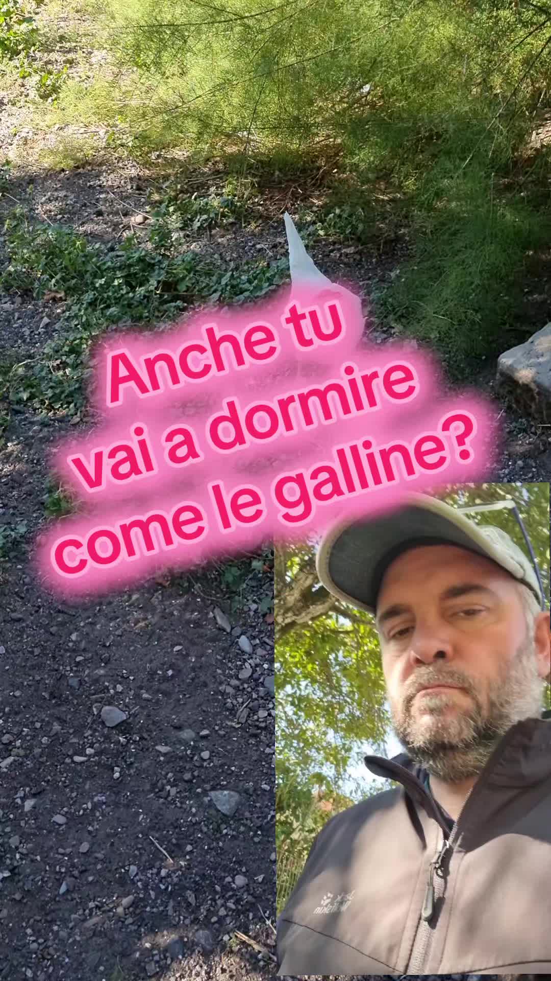 @Il leone e la gallina