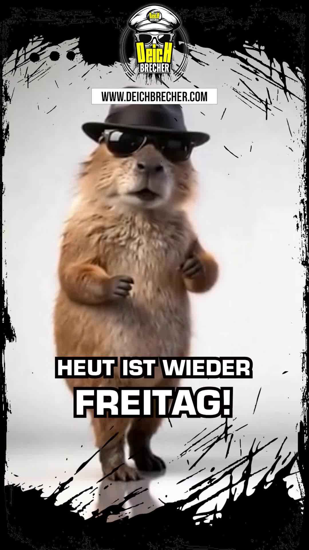 @💣DEICHBRECHER 💣