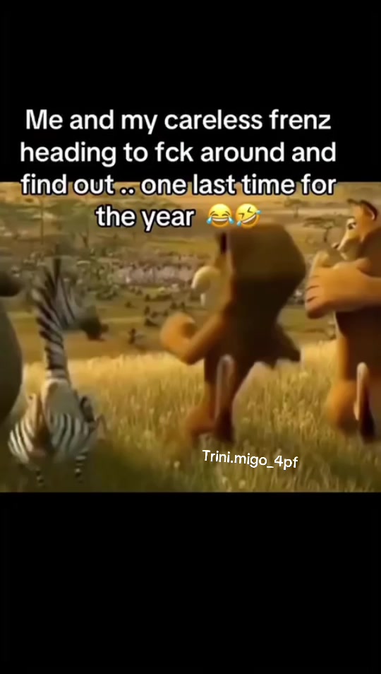 @🦦MIGO