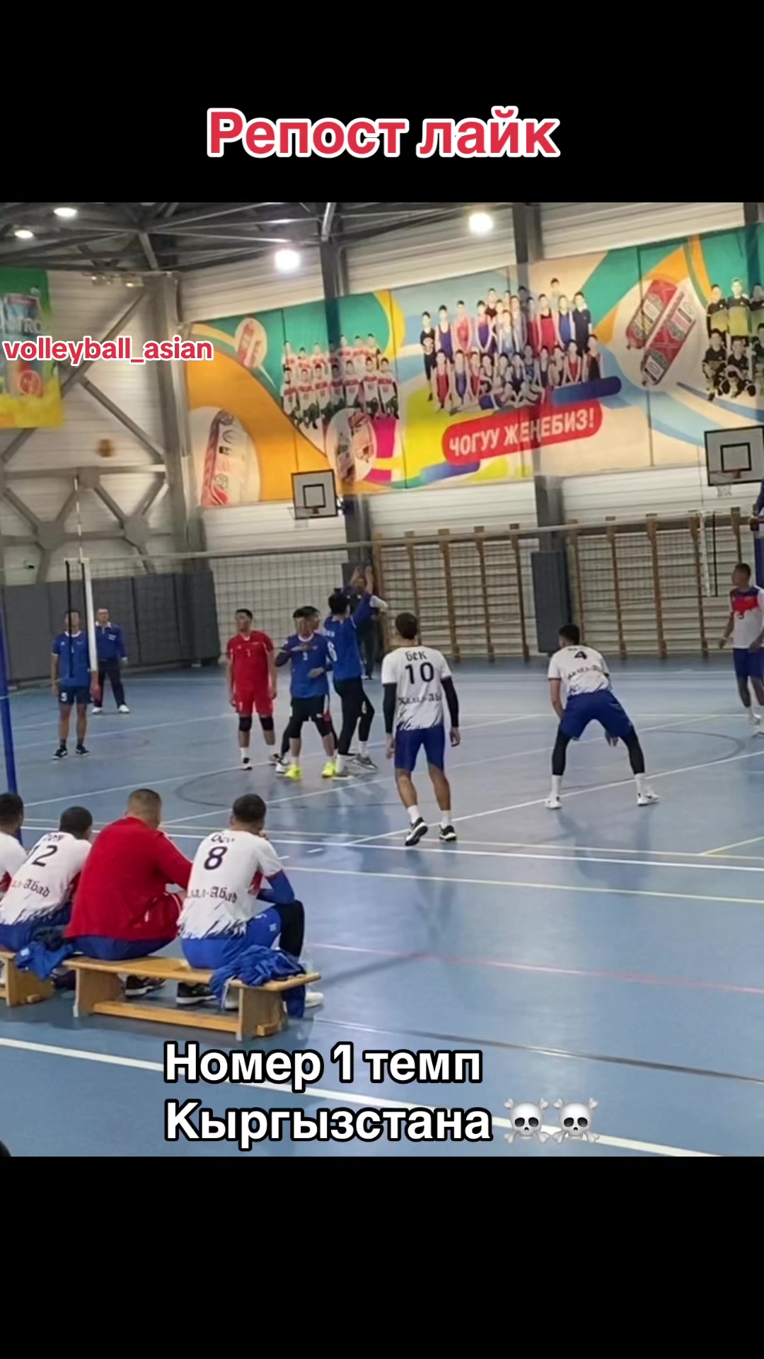 @Volleyball