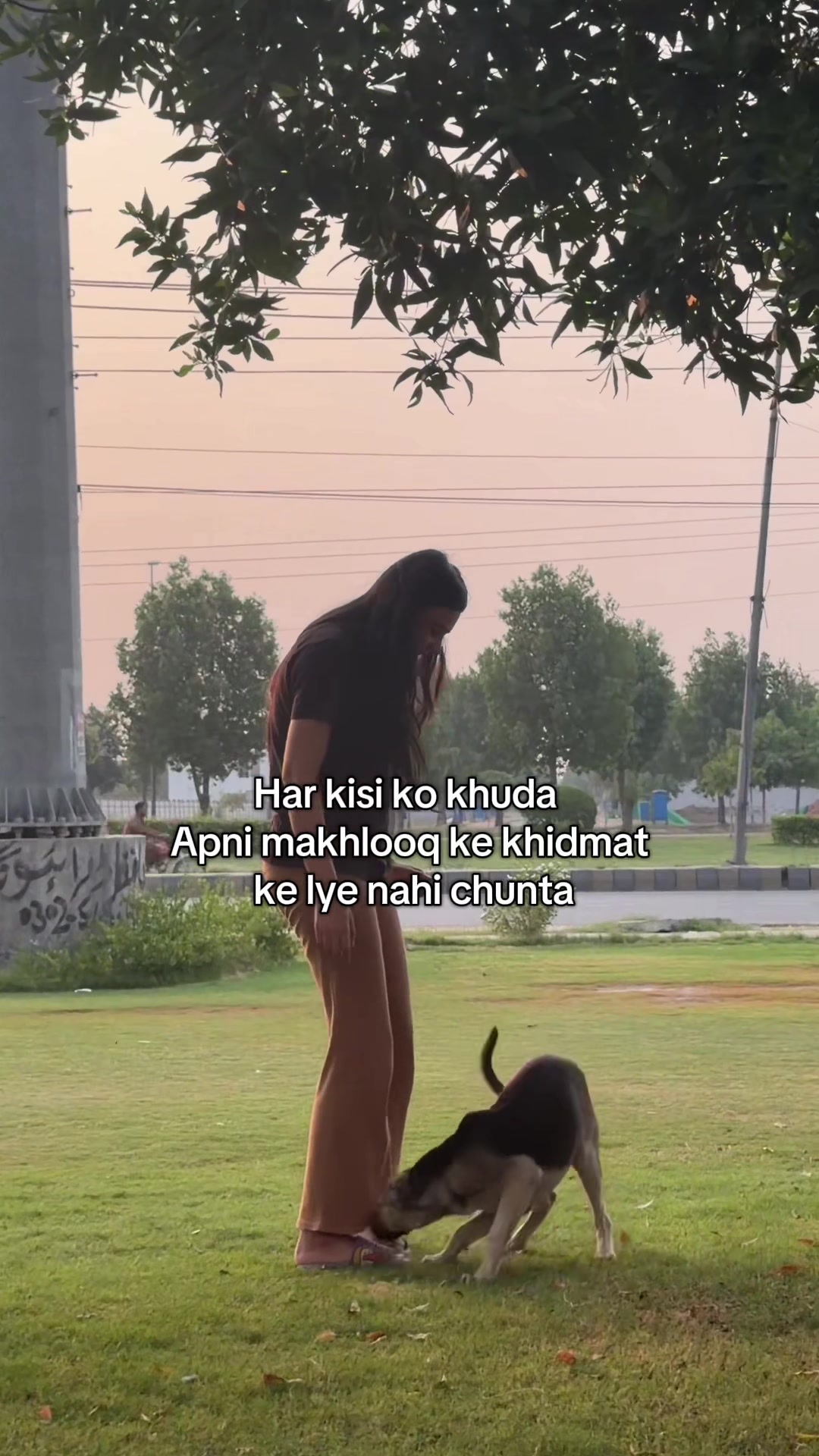 @Shaanze