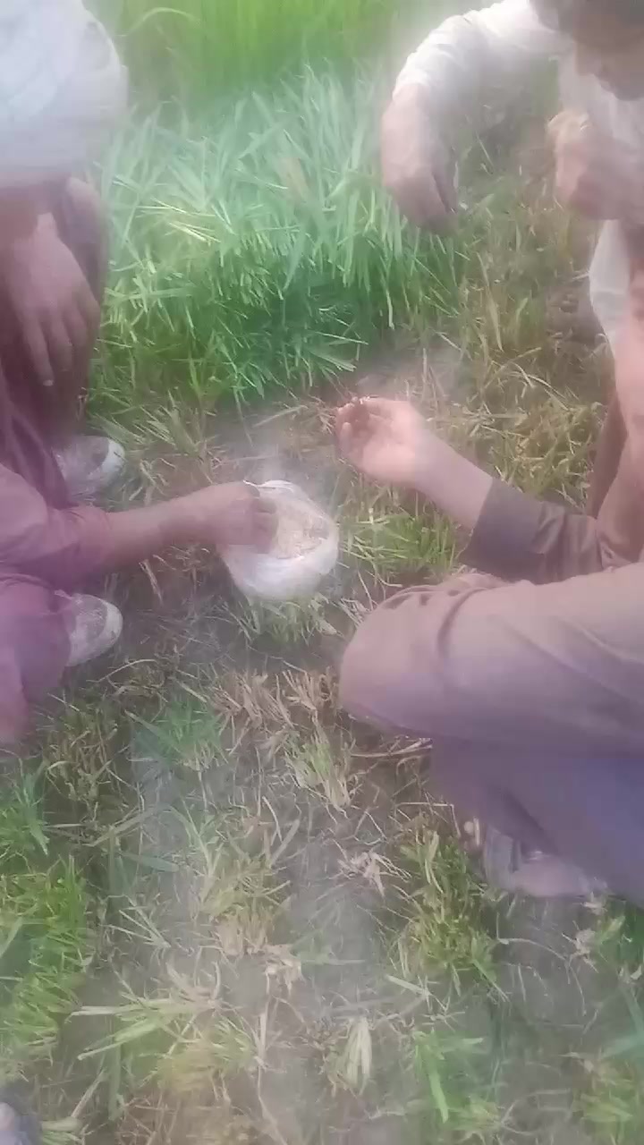@Qasim malik