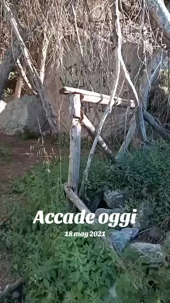 @Angelo