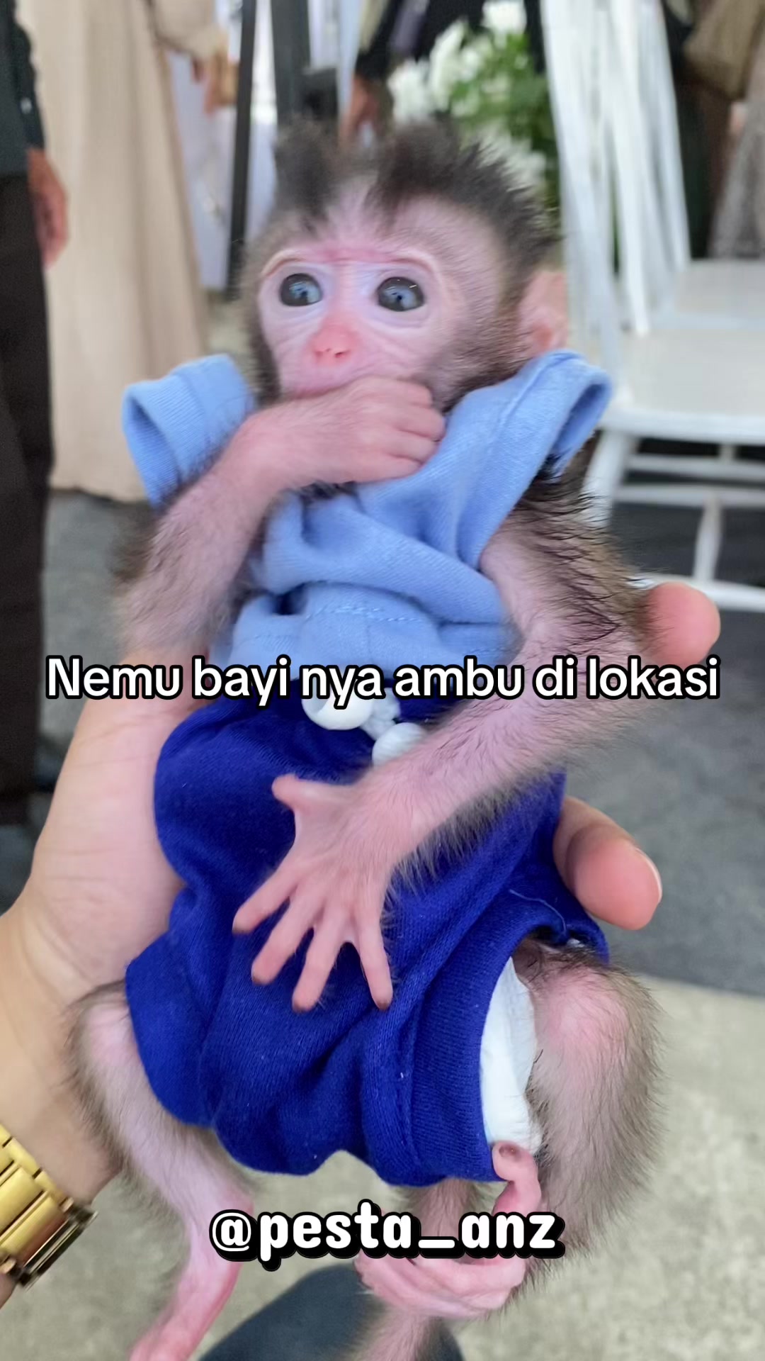 @Irfanzaelani