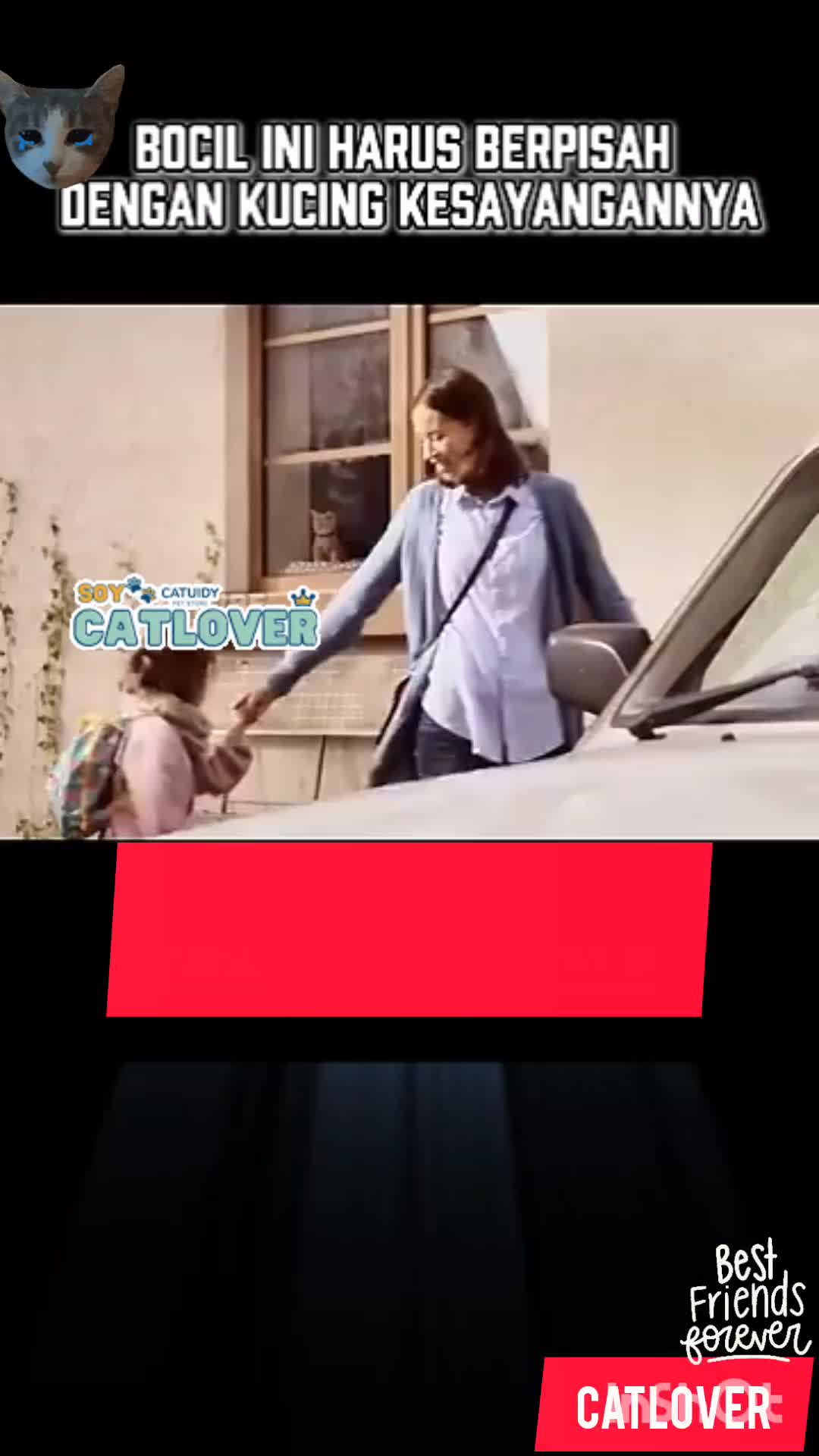 @ceobaran