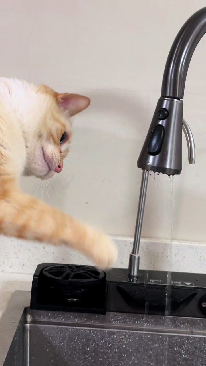 @Marcos Morales
