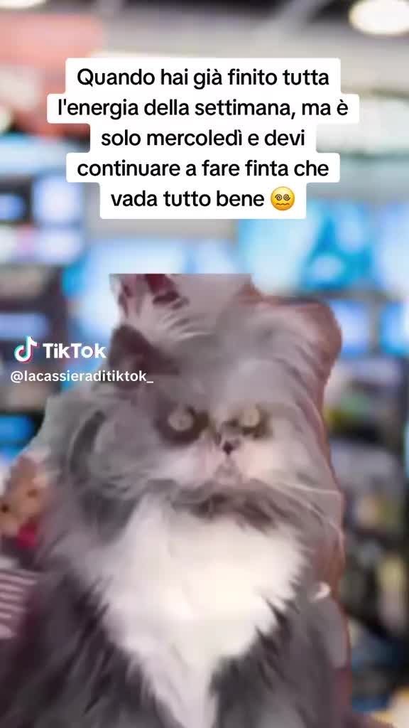 @Maria Giovanna Mazza