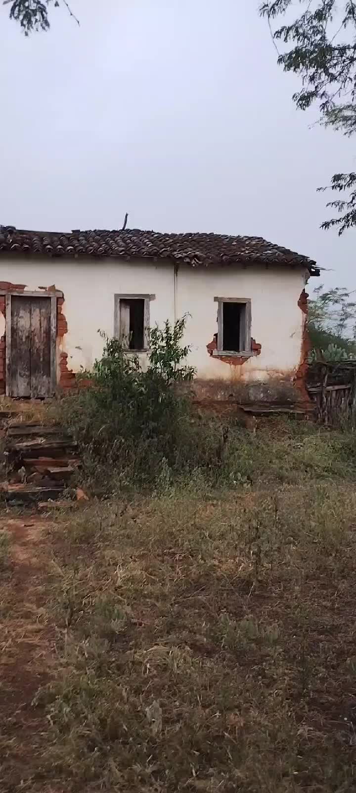 @DIAS2026