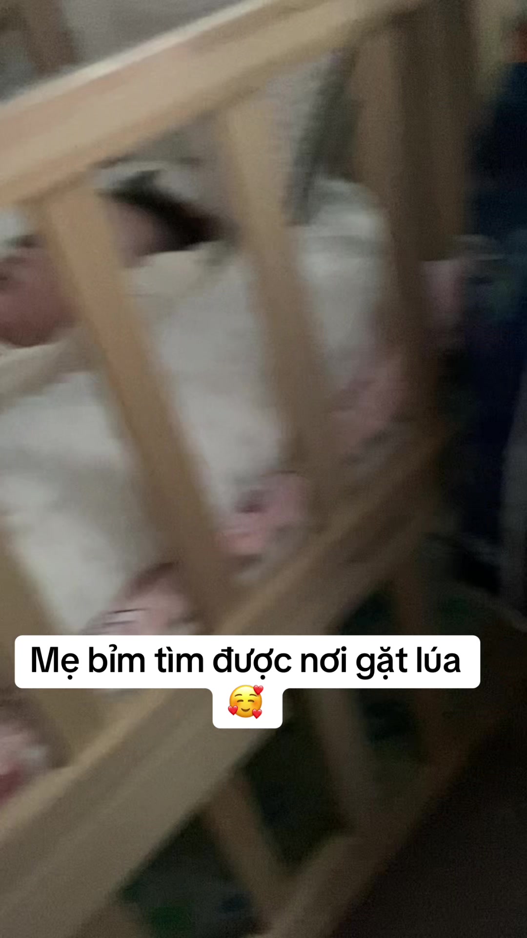 @Thuỳ Dung