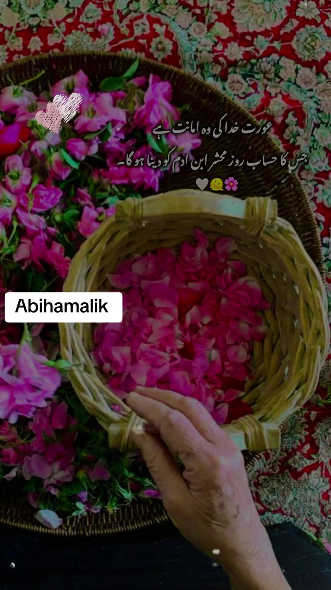 @🌹𝐀𝐛𝐢𝐡𝐚.𝐌𝐚𝐥𝐢𝐤🌹