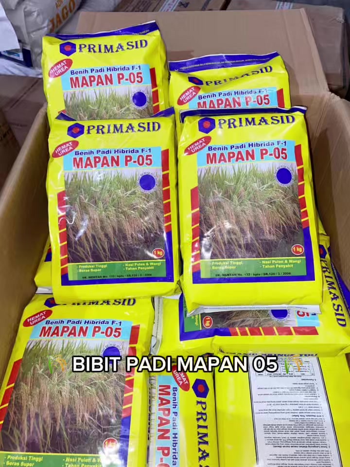 @PT. BHD INDONESIA