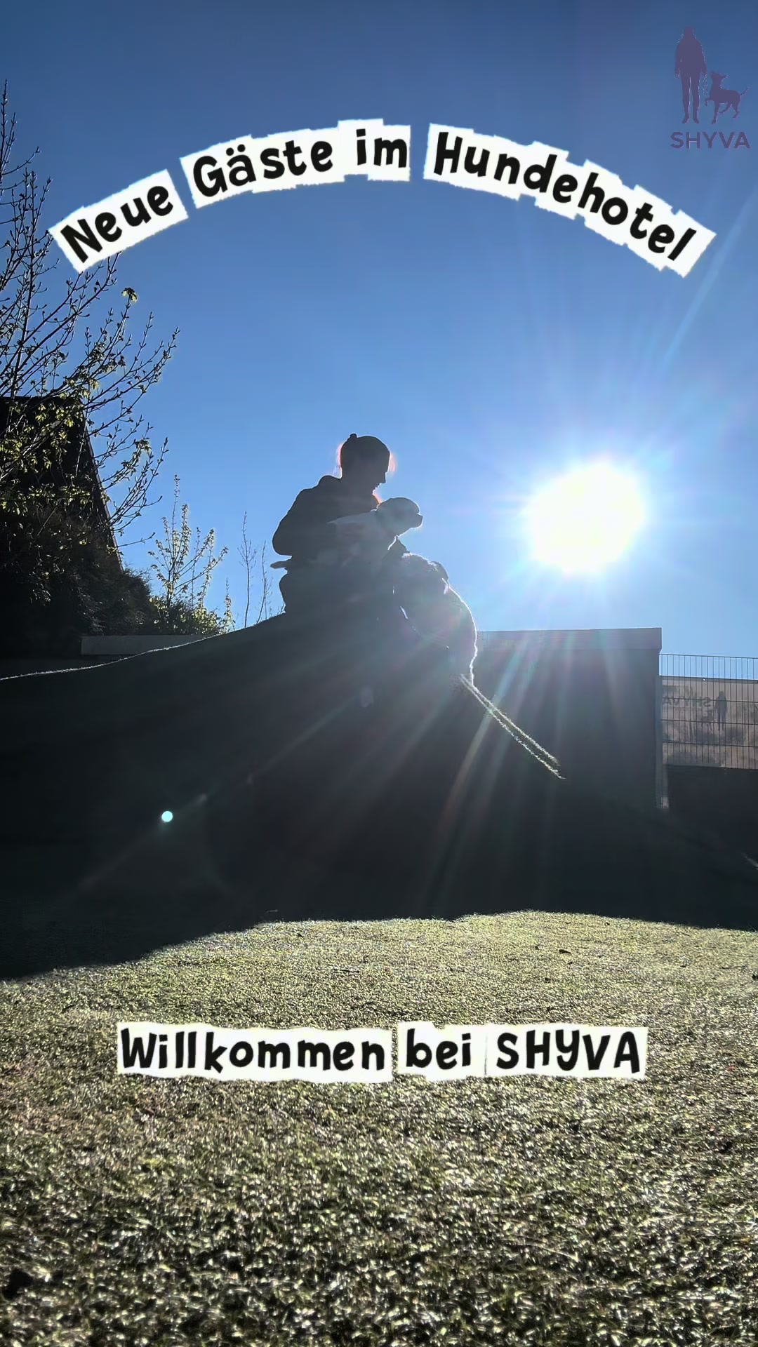 @Shyva Hundezentrum