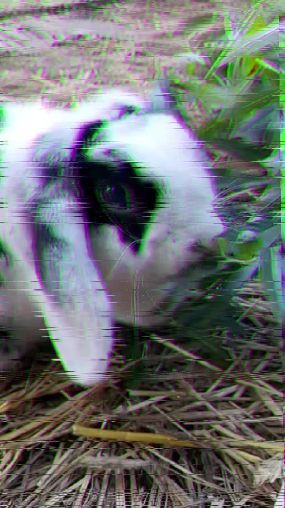 @🦚🆃𝓲𝓮𝓻🅿𝓪𝓻𝓴🆃𝓸𝓴🦚