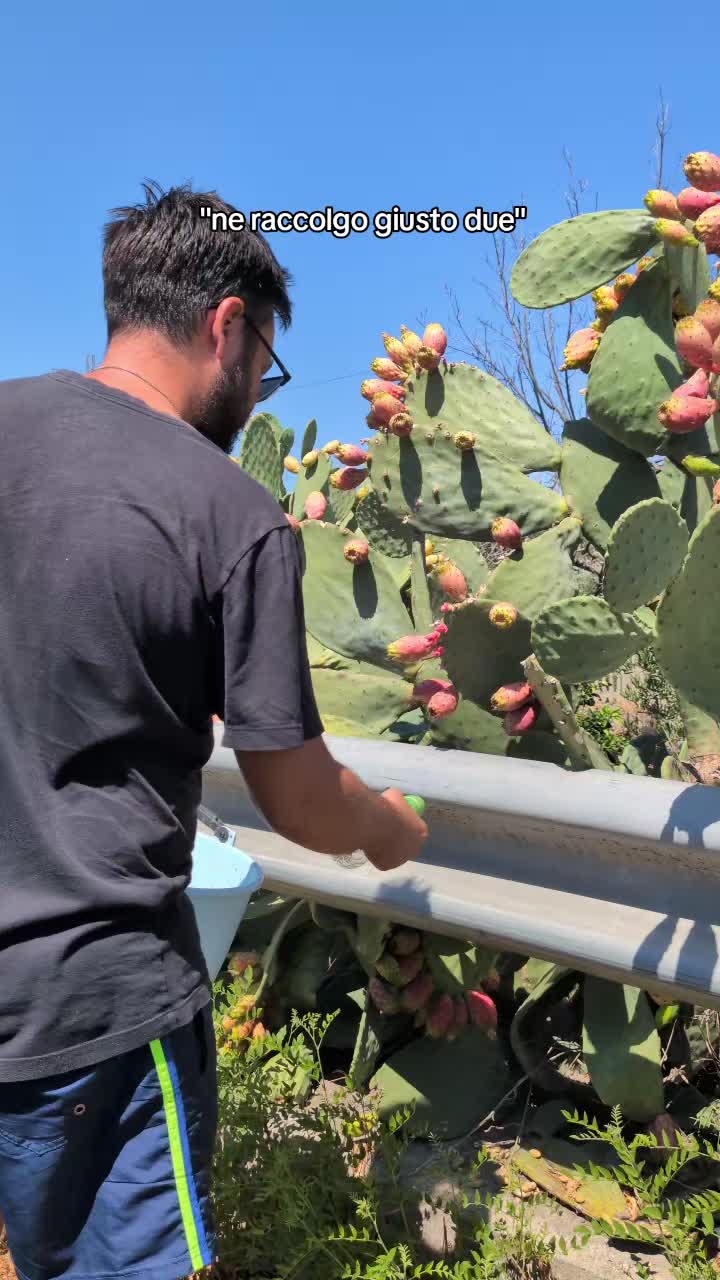 @Shà 🌵🎈