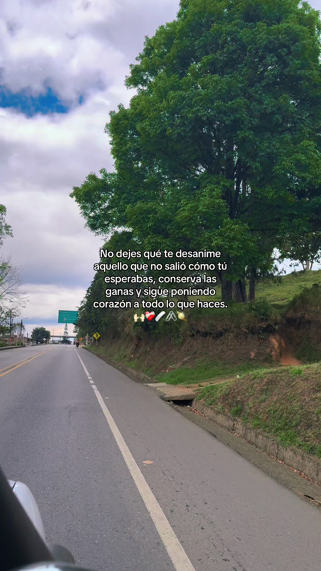 @𝙶𝚒𝚛𝚊𝚕𝚍𝚘🩵: