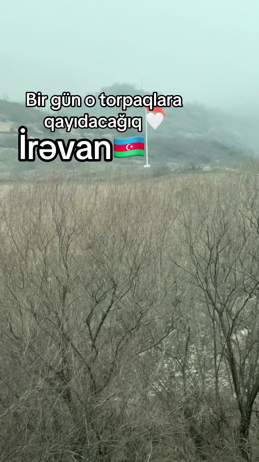 @teacherhelin