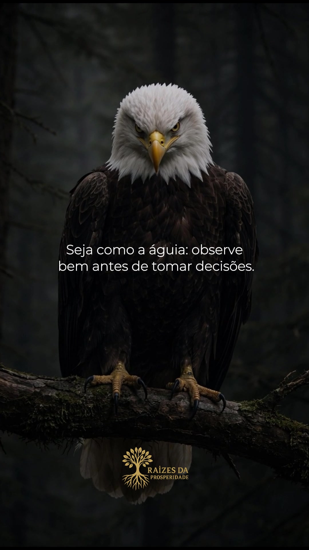 @Raízes da Prosperidade