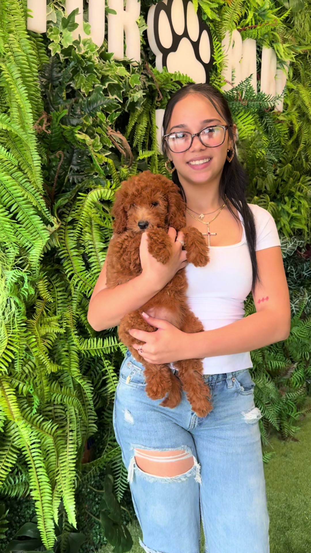 @FurbabyPuppies