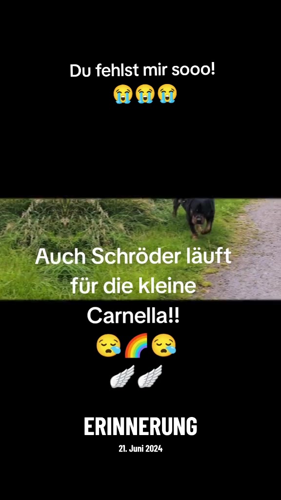 @Nicole❤️Schr&ouml;der🖤Kowalski ❤️