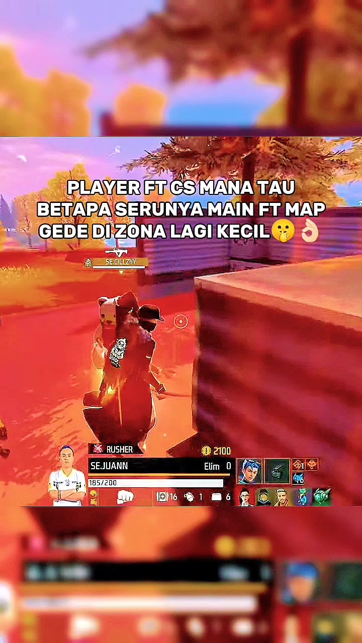 @FT BR VITZZZ (3K DIBIO)
