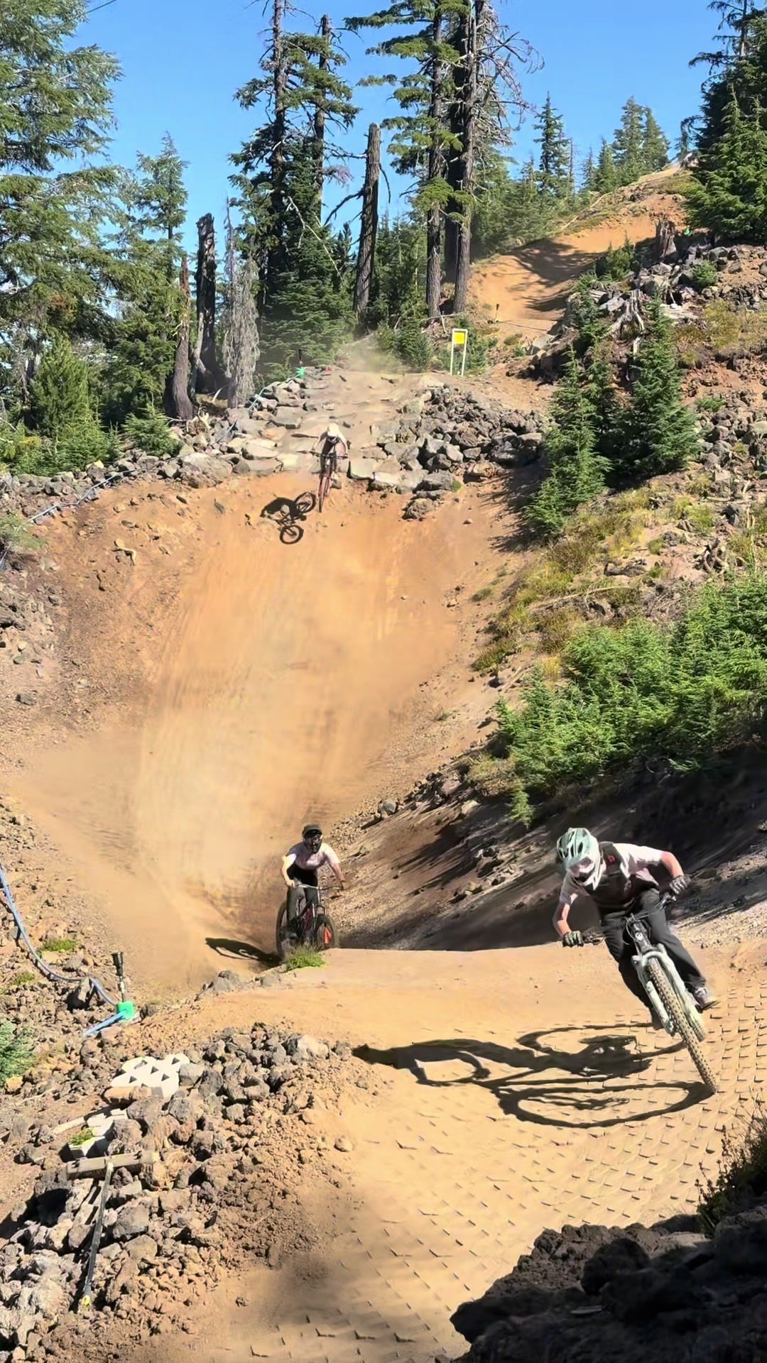 @mt.bachelor