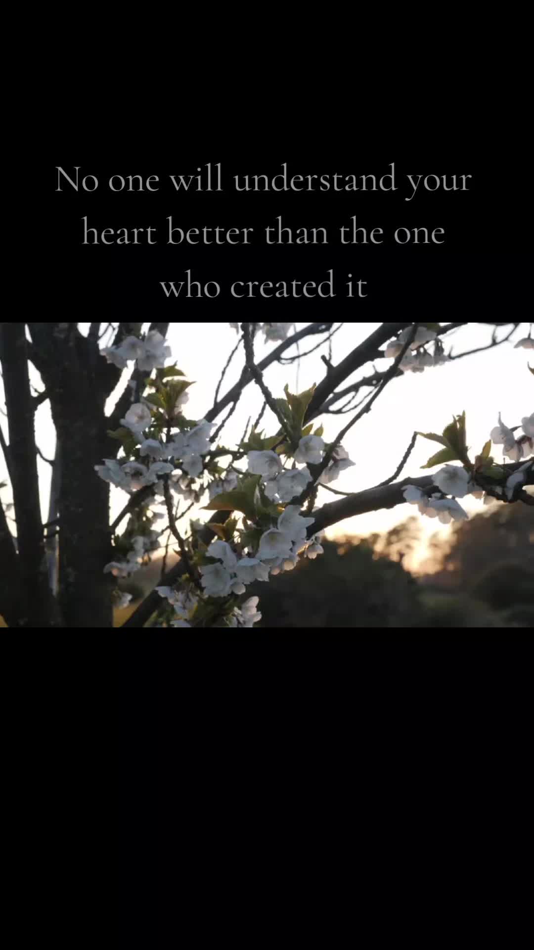 @lara.🌸