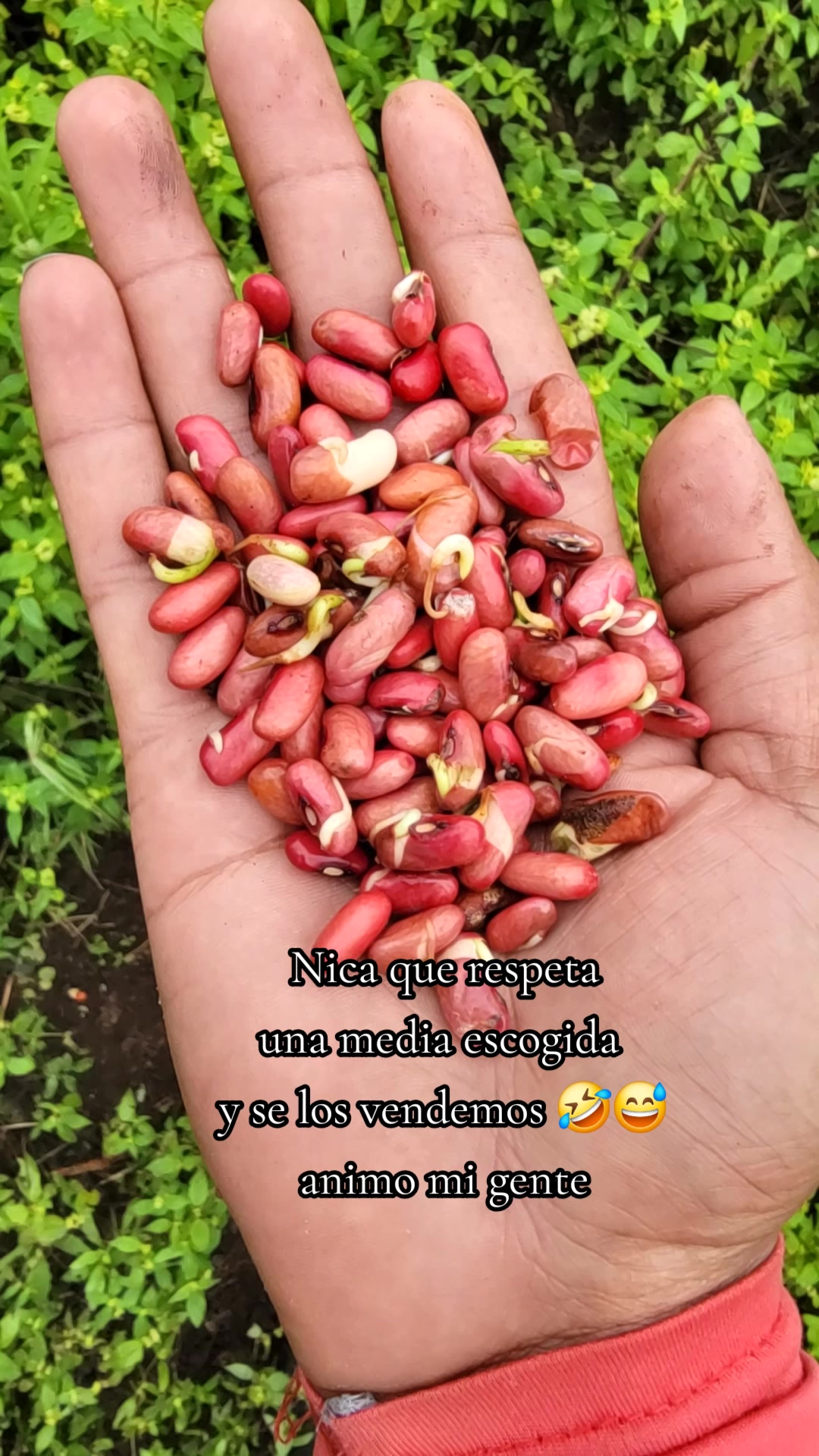 @❤️🔥Oscarcito❤️🔥