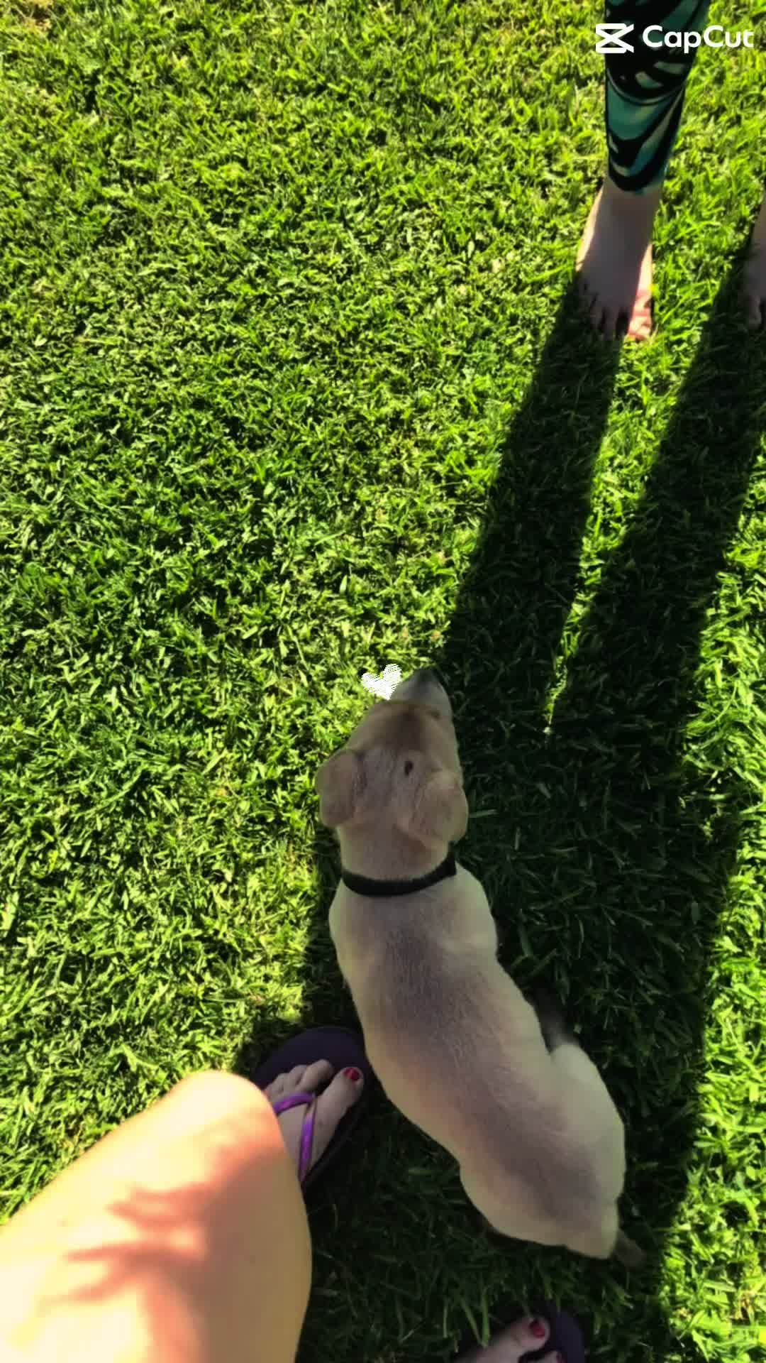 @Adventuresofmaxxandsandie