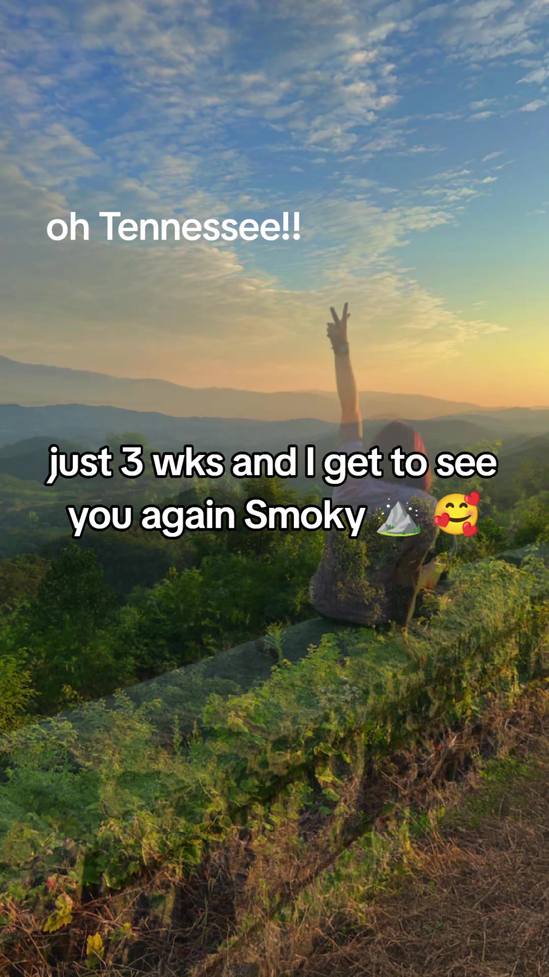 @🏕️Wandering Wildflower🏵️
