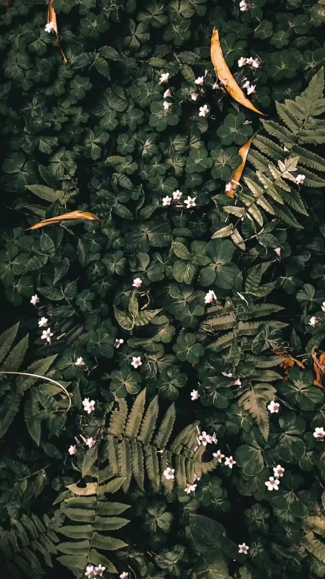 @ꪑꪗꪮ੦ɀỉƙ_ꪗꪖƙ ♪♫♬ 🧬