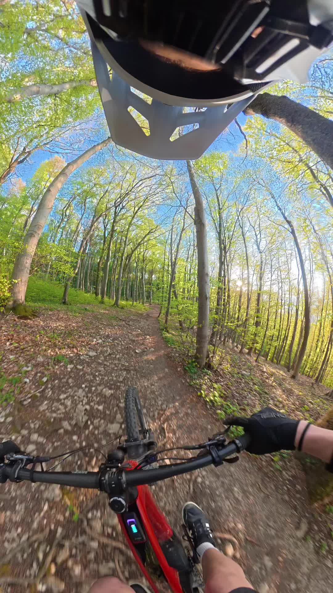 @Luca.mtb🇩🇪🦅✝️