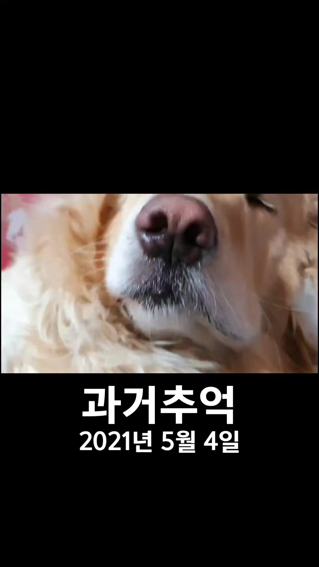 @๋์ฐ๐ถ๐