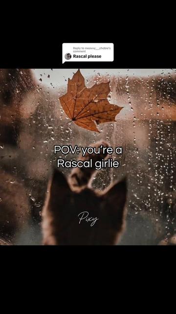 @Pixy🍀 (Crashing Out version)