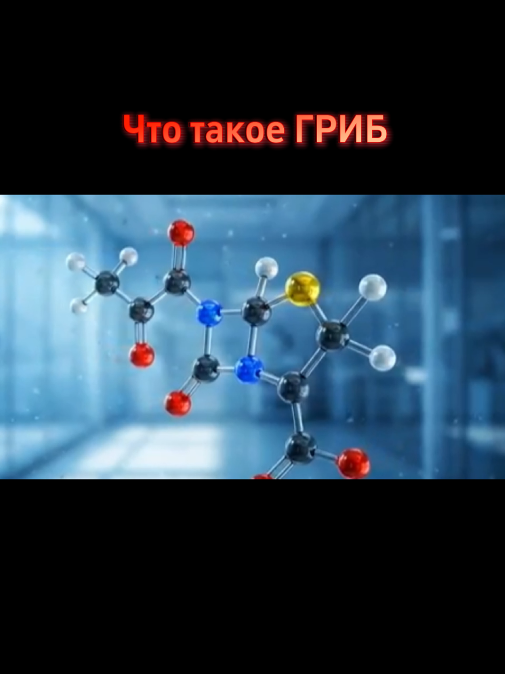 @NewKnow