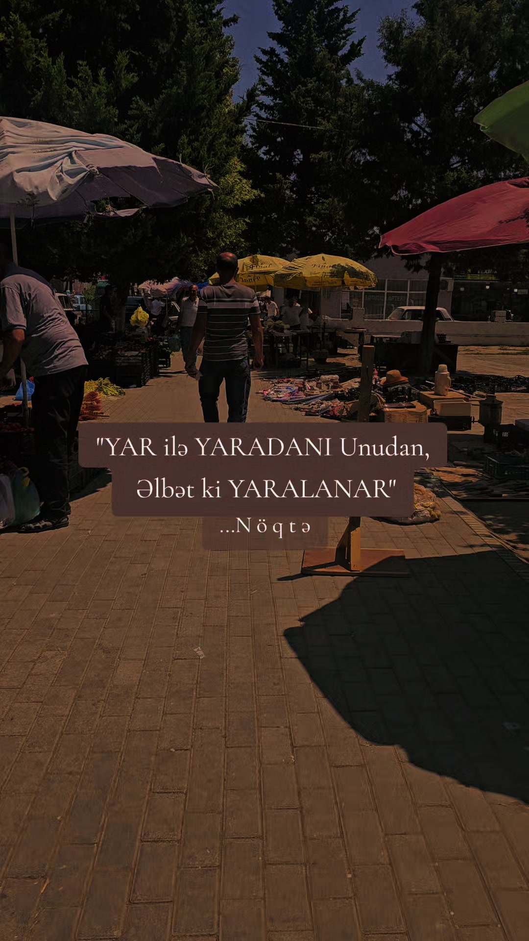 @...Noqte